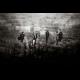 THE NOVEMBERS
