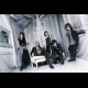 THE MICRO HEAD 4N’S