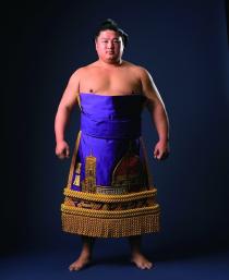 嘉風引退中村襲名披露大相撲