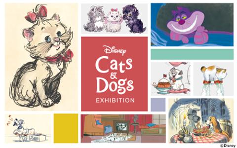 前売券 ディズニー キャッツ ドッグス展 マエウリケンディズニーキャッツアンドドッグステン チケットぴあ アート アートのチケット購入 予約