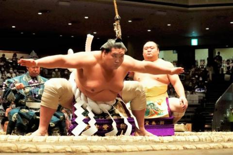 買得 1月21日13日目一月場所大相撲指定席チケット マス席大相撲名古屋場所 2人 スポーツ Iowatribeofkansasandnebraska Com 買得 1月21日13日目一月場所大相撲指定席チケット マス席大相撲名古屋場所 2人 スポーツ Iowatribeofkansasandnebraska Com