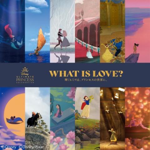 ディズニープリンセス展 What Is Love 輝くヒミツは プリンセスの世界に チケットぴあ イベント 博覧会 展示会 見本市の チケット購入 予約