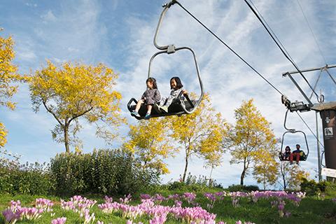 池の平ファミリーランド入園券＆展望リフトセット券(イケノタイラ