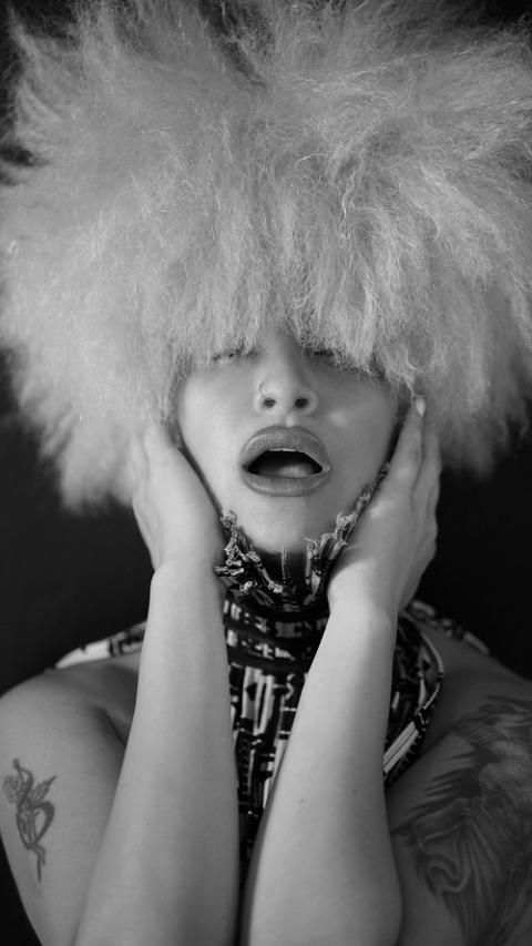 Ｌａｄｙ　Ｂｌａｃｋｂｉｒｄ