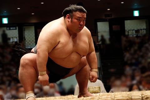 【限定SALE】大相撲、令和5年3月(大阪)場所、チケット メンズウェア