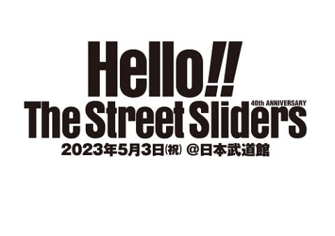 Ｔｈｅ Ｓｔｒｅｅｔ Ｓｌｉｄｅｒｓ(ザストリートスライダーズ