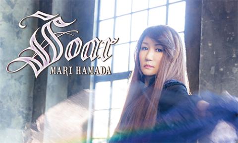 浜田麻里・まとめ売り・18点 浜田麻里ライブチケット