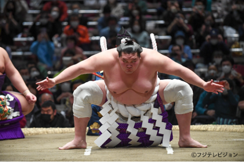 日本大相撲トーナメント第四十八回大会 | チケットぴあ[チケット購入・予約]