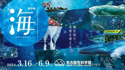 特別展「海 -生命のみなもと-」 | チケットぴあ[イベント 博覧会・展示