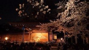 第３１回　奉納　靖國神社　夜桜能