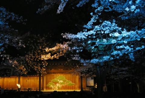 第３１回　奉納　靖國神社　夜桜能