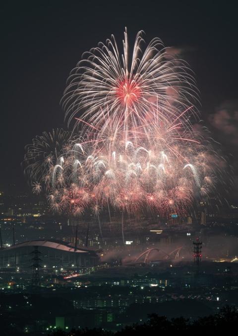 第56回豊田おいでんまつり花火大会 | チケットぴあ[イベント 祭り・花火大会のチケット購入・予約]