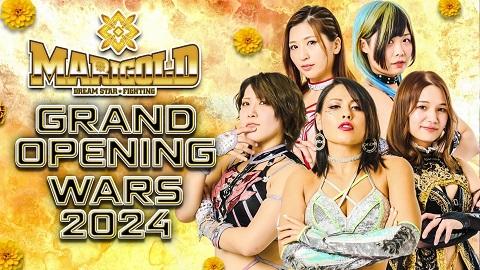 女子プロレス　マリーゴールド　トレカ　ポスターカード　16種　コンプリート 女子プロレス マリーゴールド トレカ ポスターカード 16種