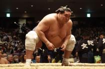 大相撲九州場所（十一月場所） マス席(オオズモウキュウシュウ