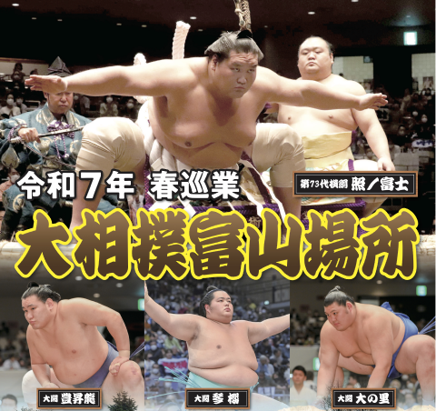 大相撲静岡場所チケット 【公式通販】