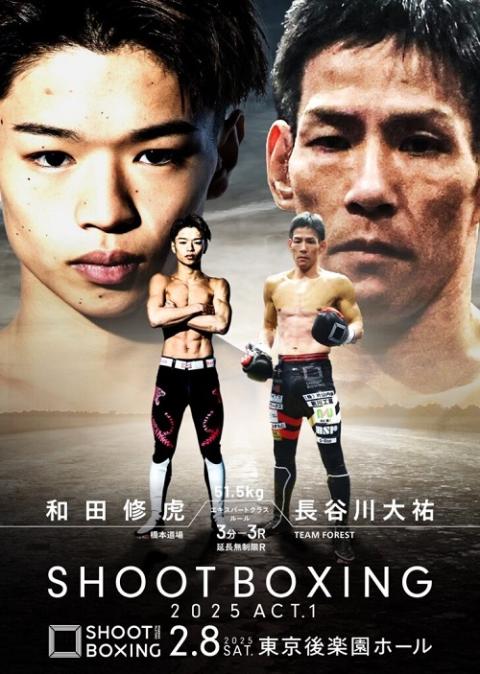 SHOOT BOXING(シュートボクシング) | チケットぴあ[スポーツ 格闘技の