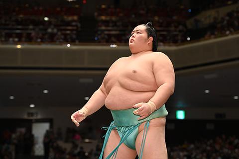 大相撲　3月場所　2階席1列目　チケット 2025年1月場所大相撲椅子B席観戦チケット - Japan Wonder Travel