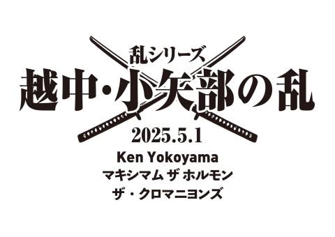 乱シリーズ越中小矢部