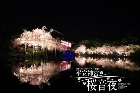 平安神宮 桜音夜～紅しだれコンサート2025～ | チケットぴあ[チケット
