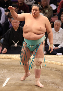 大相撲名古屋場所 イス席(オオズモウナゴヤバショイスセキ