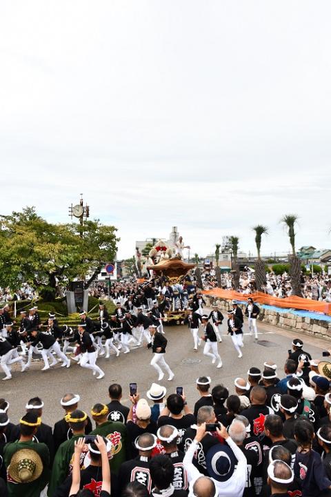 岸和田だんじり祭