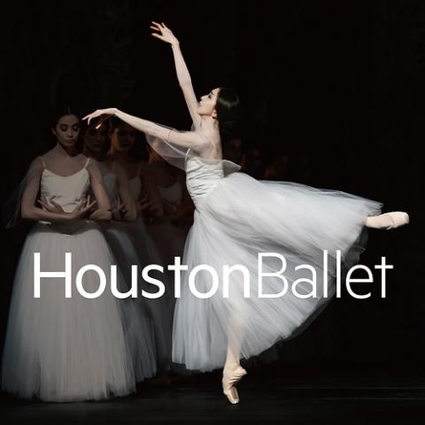 ヤマカイTV 美女と野獣 The Ballet Show DVDとパンフレット