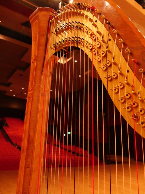 国際ハープフェスティバル２０２５－草加市