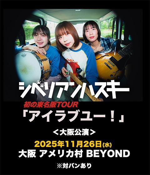 シベリアンハスキー