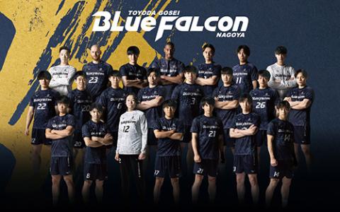 豊田合成ブルーファルコン名古屋対安芸高田わくながハンドボールクラブ