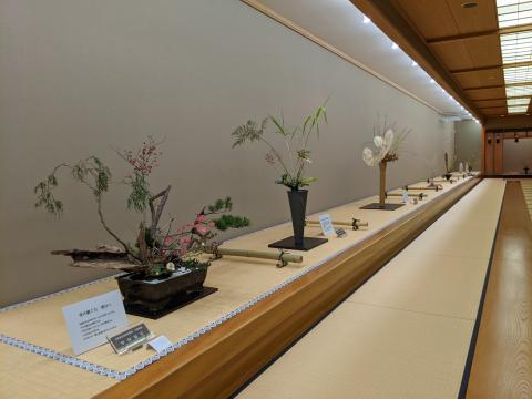 令和７年度　旧七夕会池坊全国華道展