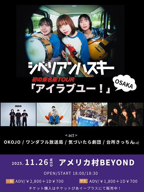 シベリアンハスキー