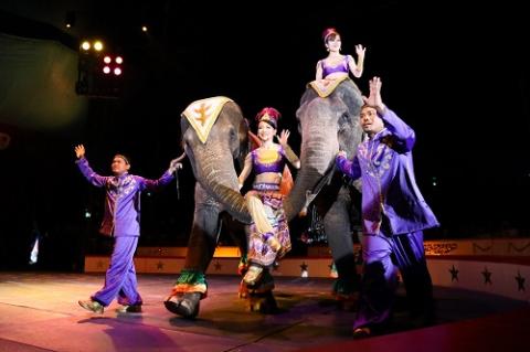 木下大サーカス磐田公演