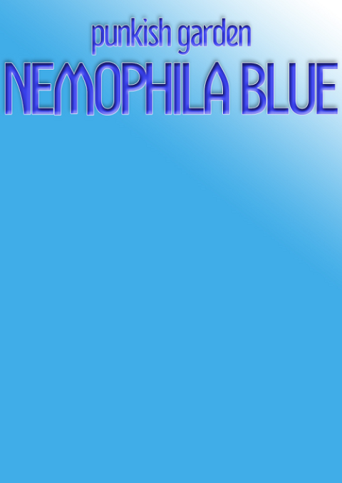 「【パンキッシュガーデン】ネモフィラブルー」