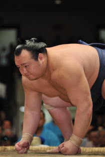 宝富士引退桐山襲名披露大相撲