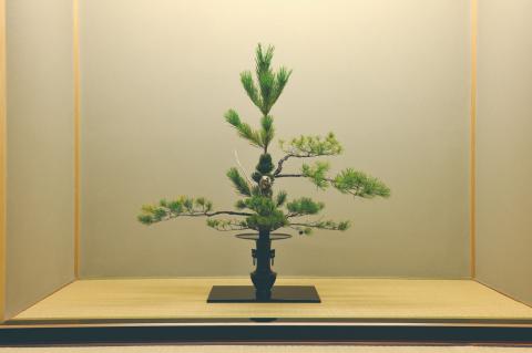 いけばなの根源池坊展　東京花展