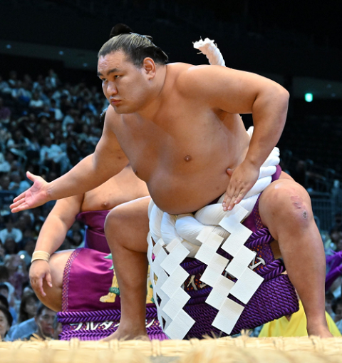 大相撲名古屋場所 | チケットぴあ[チケット購入・予約]