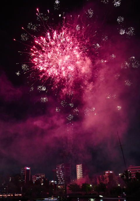 天神祭 船渡御・奉納花火 特別観覧席