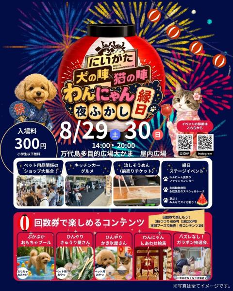 にゃんちゃん取引 わんにゃん夜ふかし縁日(ワンニャンヨフカシエンニチ) | チケットぴあ