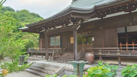 響き満ち　光入る　－　建長寺　龍王殿　文化催事　－