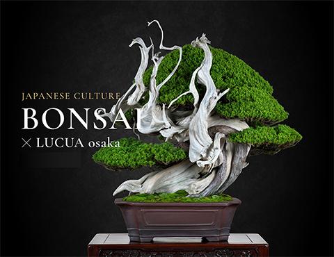 盆栽ワークショップ in OSAKA ～BONSAI JAPAN