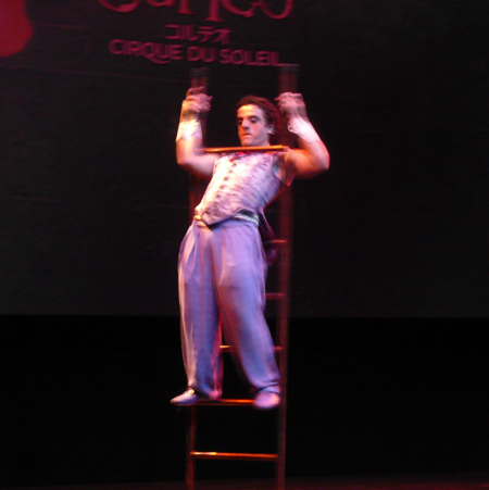 はしごを自在にあやつる人気演目「ラダー」