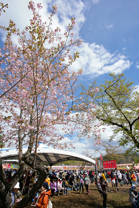 昨年の『ARABAKI ROCK FEST.09』より会場風景