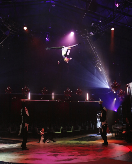 「グレート・モスクワ・サーカス」による演目