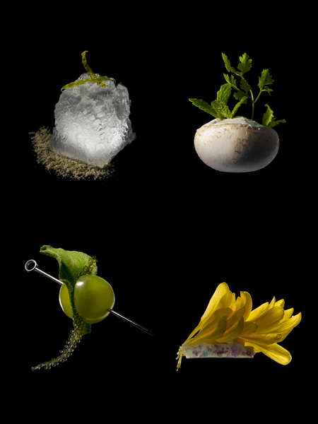 食べられる作品「感情のテイスト」