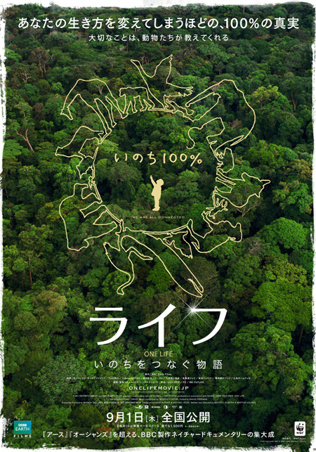 人間が初めてみる 自然 がここに ライフ 特報映像が解禁 チケットぴあ 映画 洋画