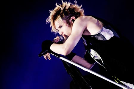 Acid Black Cherry