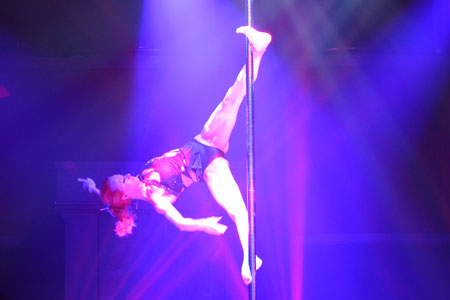 LE NOIR ルノア ～ダークシルク～2013 THE DARK SIDE OF CIRQUE