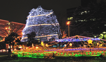 SENDAI 光のページェント