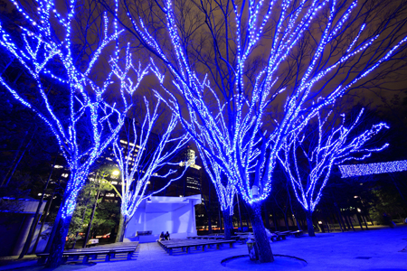 SENDAI 光のページェント