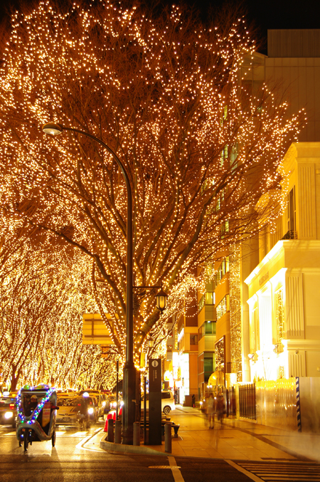 SENDAI 光のページェント